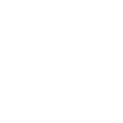 ICSEL