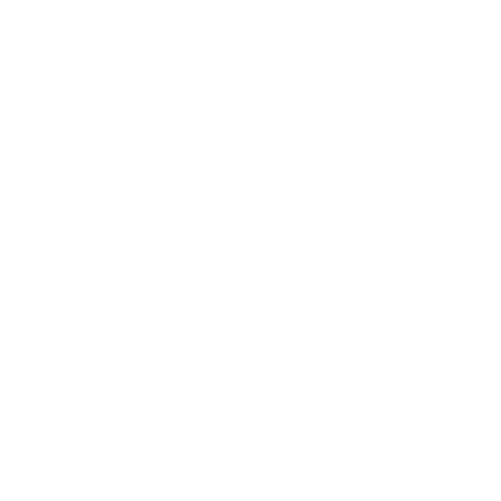 Pneus Raffin