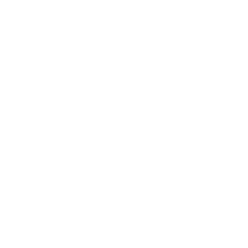 Scooter Club Lyonnais
